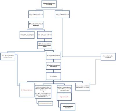 An analysis of the distribution and spectrum of alpha thalassemia mutations in Rasht City, North of Iran